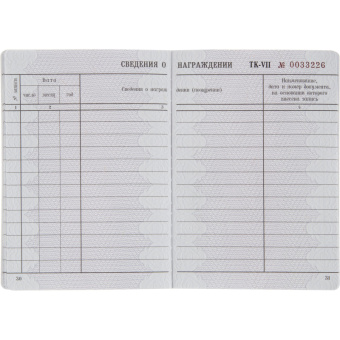 Бланк Трудовая книжка Гознак серия VII (88x125 мм) офсет 22 листа