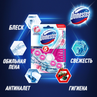 Блок для унитаза гигиенический Domestos Power 5 Ледяная магнолия
