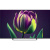 Телевизор Topdevice TDTV65CS06U_BK, UHD, смарт (WildRed)