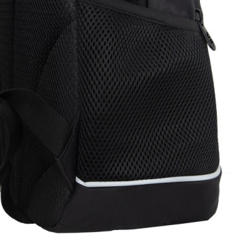 Рюкзак GRIZZLY школьный, анатомическая спинка, 2 отделения, для девочек, "GOLD CAT", 38х28х18 см, RG