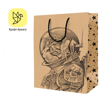 Пакет подарочный 18*23*10см ArtSpace "Space Cat", крафт