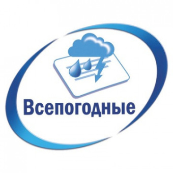 Этикетки самоклеящиеся Avery Zweckform из серебристой пленки 96х50.8 мм (10 штук на листе, 20 листов, артикул производителя L6012-20)