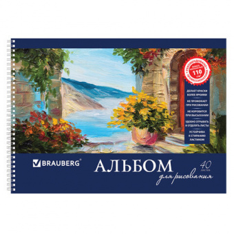 Альбом для рисования, А4, 40 листов, гребень, обложка картон, BRAUBERG, 205х290 мм, "Пейзаж с цветам