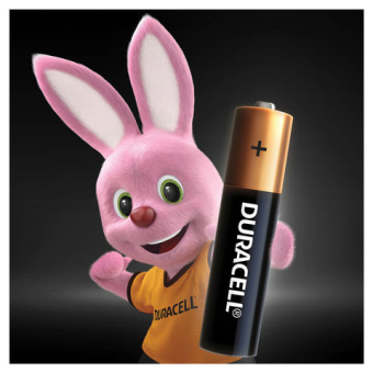Батарейки КОМПЛЕКТ 4 шт., DURACELL Basic, AAA (LR03, 24А), алкалиновые, мизинчиковые, блистер, MN 24