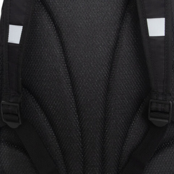 Рюкзак GRIZZLY школьный, анатомическая спинка, 2 отделения, для девочек, "GOLD CAT", 38х28х18 см, RG