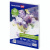 Бумага для акварели А4, 40 л., "СИРЕНЕВЫЙ БУКЕТ", среднее зерно, 200 г/м2, ГОЗНАК, BRAUBERG ART "CLASSIC" Бумага для акварели А4, 40 л., "СИРЕНЕВЫЙ БУКЕТ", среднее зерно, 200 г/м2, ГОЗНАК, BRAUBERG ART "CLASSIC"