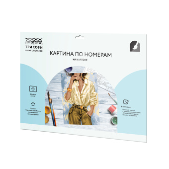 Картина по номерам на картоне ТРИ СОВЫ "Стильные детали", 30*40, с акриловыми красками и кистями