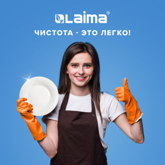 Средство для мытья посуды 5 л, ЛАЙМА PROFESSIONAL, концентрат, "Яблоко"