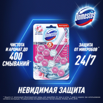 Блок для унитаза гигиенический Domestos Power 5 Duo Ледяная магнолия (2 штуки в упаковке)