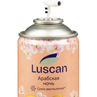 Баллон сменный для автоосвежителя Luscan 250мл Арабская ночь сух распыл