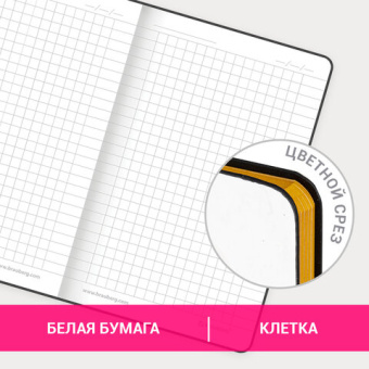 Блокнот МАЛЫЙ ФОРМАТ (100х150 мм) А6, BRAUBERG VISTA "Fashion Style", под кожу, гибкий, 80 л., 11209