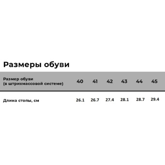 Ботинки мужские (WG2-19-NT), ПУ/Резина (р.41)