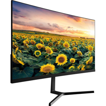 Монитор ECOVINKA GP24A(6900002416501)24/FHD/VA/165Hz/250cd/3ms/HDMI/DP/VGA