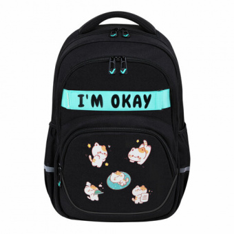 Рюкзак BRAUBERG MOTION, 2 отделения, 3 кармана, "Positive cats", 41х28х17 см, 273114