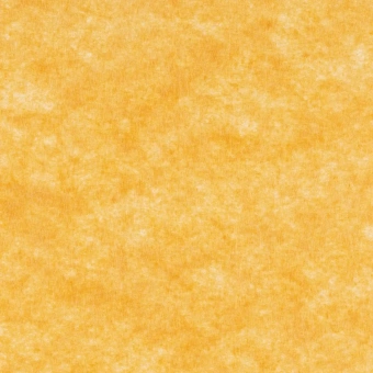 Тряпка для пола 50x60 см вискоза 120 г/кв.м оранжевая