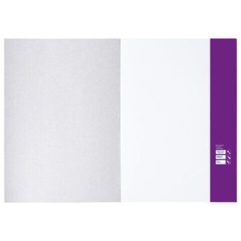 Папка для рисования БОЛЬШОГО ФОРМАТА А3, 20 л., 160 г/м2, BRAUBERG, 297х420 мм, "Орел", 125228