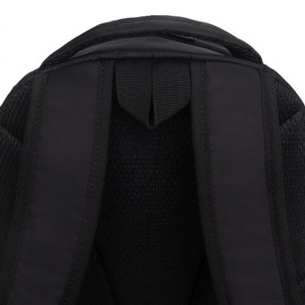 Рюкзак GRIZZLY школьный, анатомическая спинка, 2 отделения, для девочек, "GOLD CAT", 38х28х18 см, RG