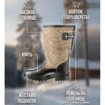 Сапоги войлочные 'Мороз' (р.39) (М7)