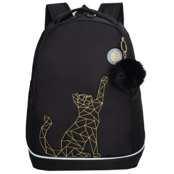 Рюкзак GRIZZLY школьный, анатомическая спинка, 2 отделения, для девочек, "GOLD CAT", 38х28х18 см, RG