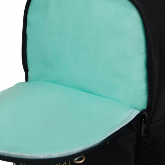 Рюкзак GRIZZLY школьный, анатомическая спинка, 2 отделения, для девочек, "GOLD CAT", 38х28х18 см, RG