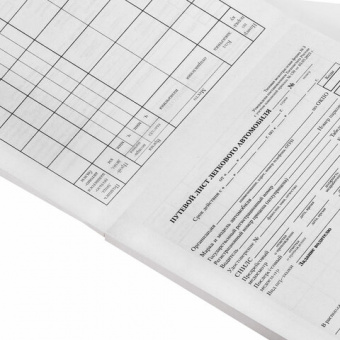 Бланк бухгалтерский типографский "Путевой лист легкового автомобиля", А5 (140х197 мм), СКЛЕЙКА 100 ш