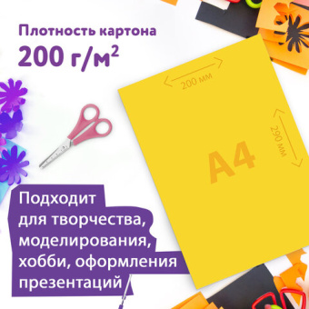 Картон цветной А4 немелованный, 24 листов, 8 цветов, в папке, ЮНЛАНДИЯ, 200х290 мм, "Коала", 115640