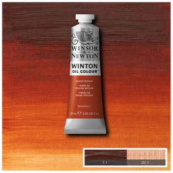 Краска масляная художественная Winsor&Newton "Winton", 37мл, туба, жженая сьена
