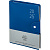 Ежедневник датированный 2025 IF 14х20см 160л. на спирали. Basic I1540/blue