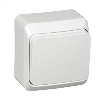 Выключатель 1-клав. SE Этюд Белый (BA10-001B) О/У