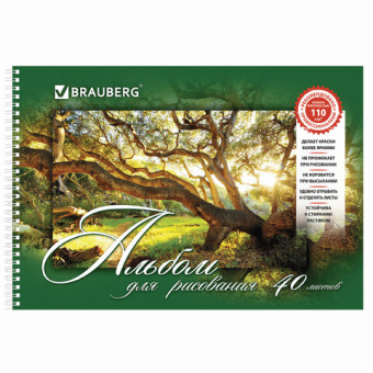 Альбом для рисования, А4, 40 листов, гребень, обложка картон, BRAUBERG, 205х290 мм, "Удивительная Пр