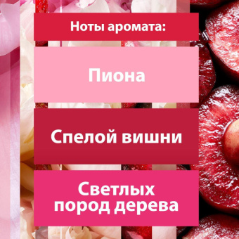 Автоматический освежитель воздуха Glade + сменный баллон Пион и сочные ягоды 269 мл