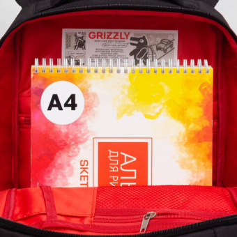 Рюкзак GRIZZLY школьный, анатомическая спинка, 2 отделения, для мальчиков, "SMART", 39х26х19 см, RB-