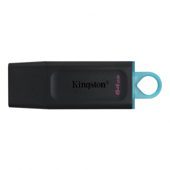 Флеш-память USB 3.2 Gen1 64 Гб Kingston DataTraveler ExodiaG1 (DTX/64GB)