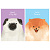 Блокнот А5 50л. на отрывной склейке MESHU "Funny dogs", матовая ламинация