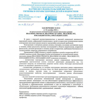 Ранец BRAUBERG FIT, 2 отделения, "Playing kitty", 3D-панель, 38х27х14 см, 270615