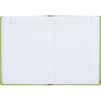 Ежедневник недатированный Attache Velvet искусственная кожа Soft Touch A5+ 136 листов салатовый (146